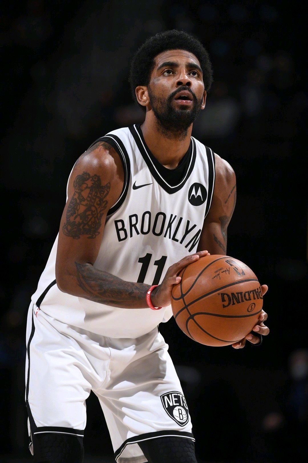 小熊不再以 小熊不再以