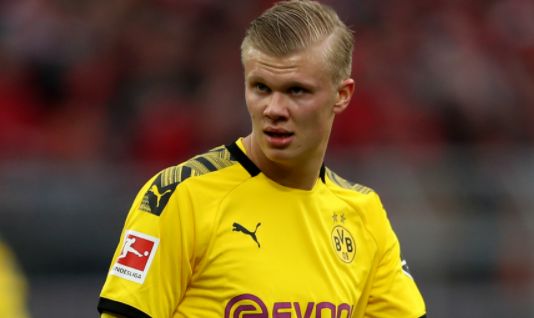 自然嵌入 自然嵌入