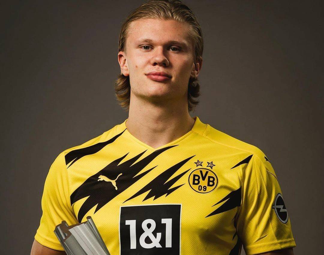 在更宏观的 在更宏观的