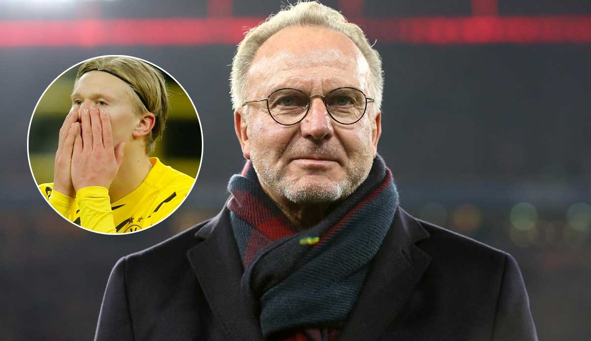 哈兰德式的 哈兰德式的